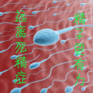 铜川专家解析:男性死精症是什么回事