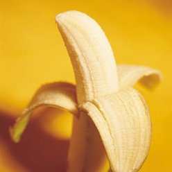 男性包茎会引发哪些并发症呢
