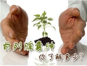 гÇר¼Ò½âÎö£ºÇ°ÁÐÏÙÄÒÖ×µÄÎå´óÀàÐÍ